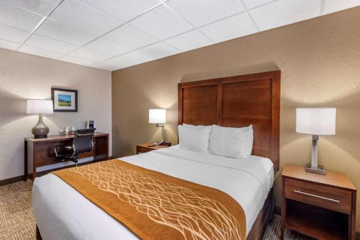 Comfort Inn Butte City Center I-15 / I-90 Room photo