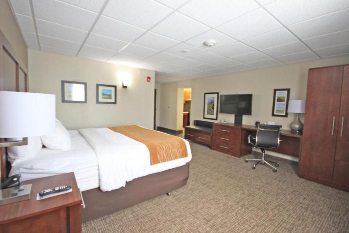 Comfort Inn Butte City Center I-15 / I-90 Room photo